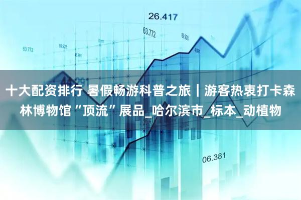 十大配资排行 暑假畅游科普之旅｜游客热衷打卡森林博物馆“顶流”展品_哈尔滨市_标本_动植物